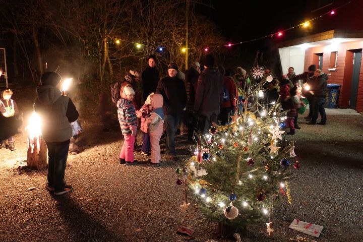 Waldweihnachten 2018